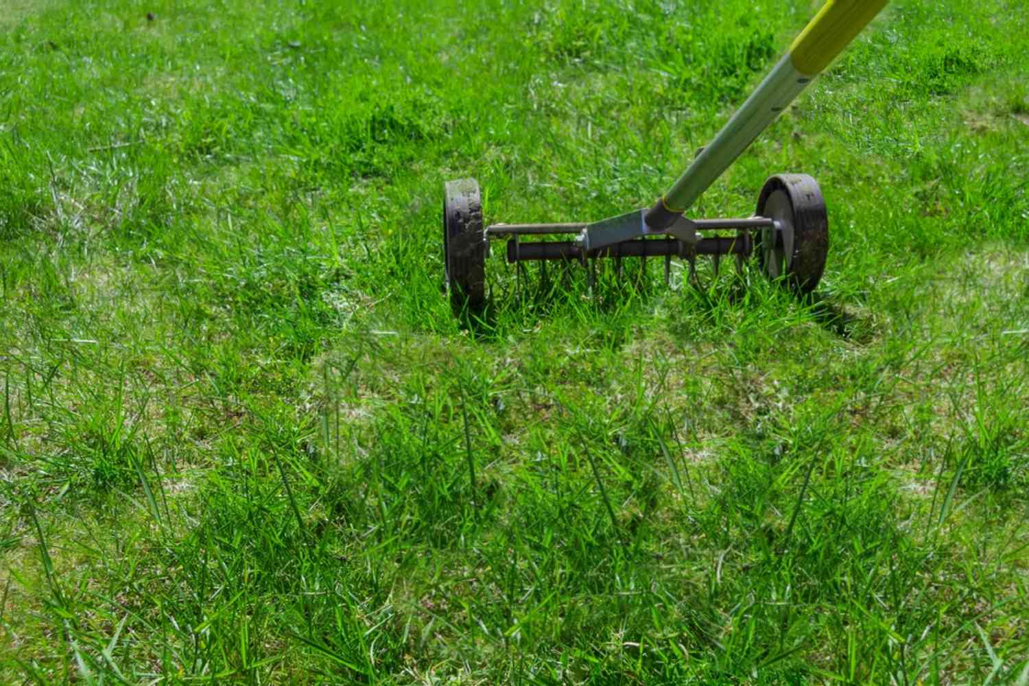 Professional Grass Cutting Prices in Melbourne Area