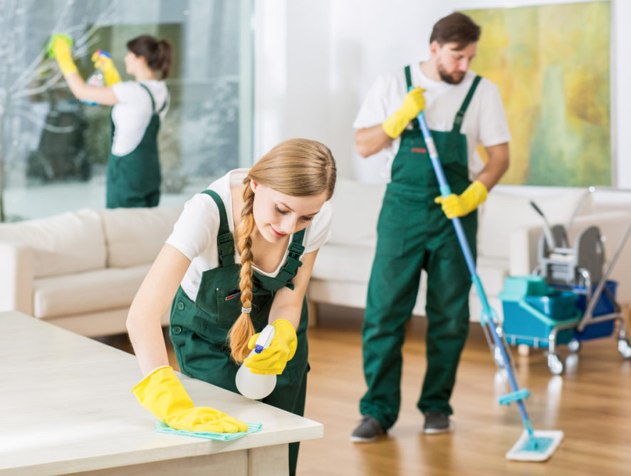 Keep Home Appliances Sparkling Clean With Professional Maid Service Support